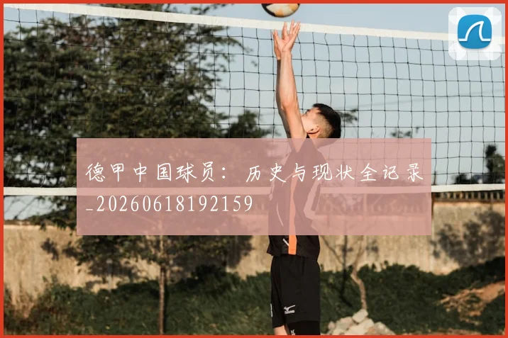 德甲中国球员：历史与现状全记录_20260618192159