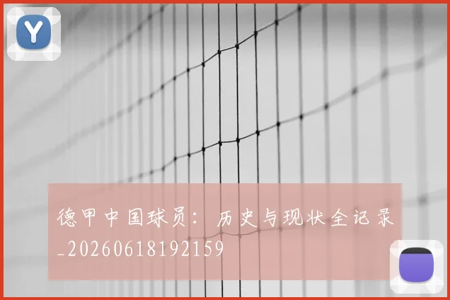 德甲中国球员：历史与现状全记录_20260618192159
